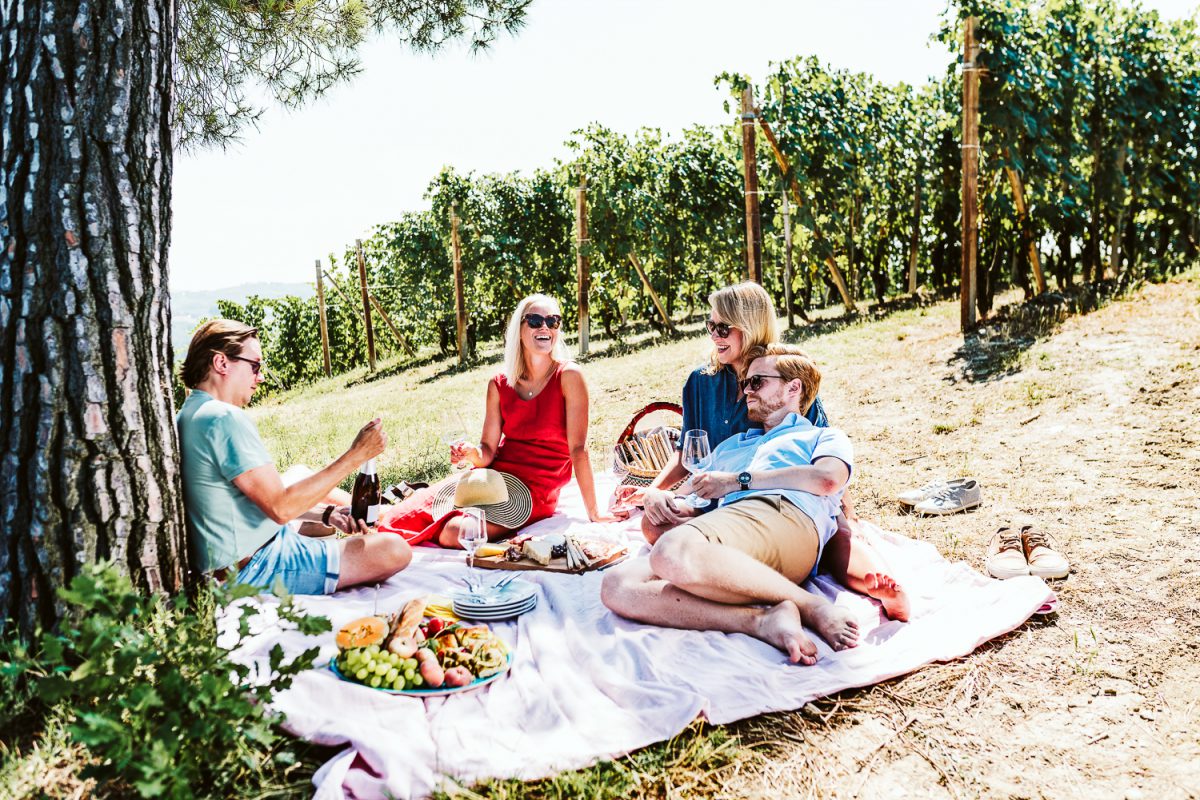 vineyard picnic in italy